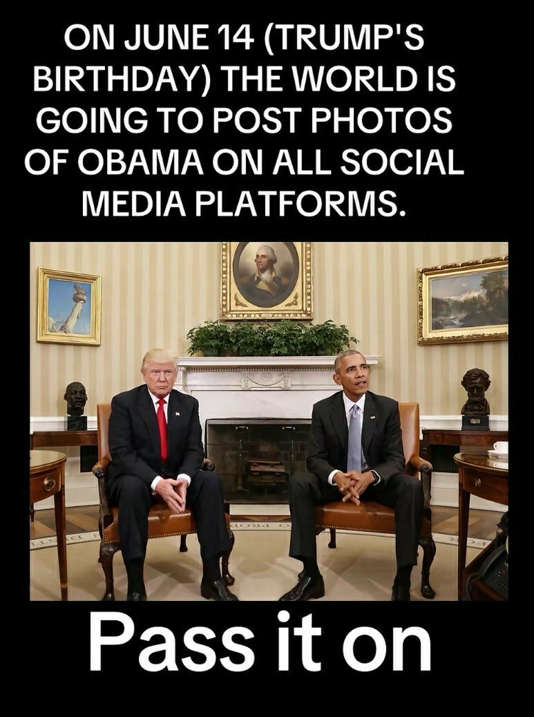 Ce n'est pas une rose.🌹 tweet media