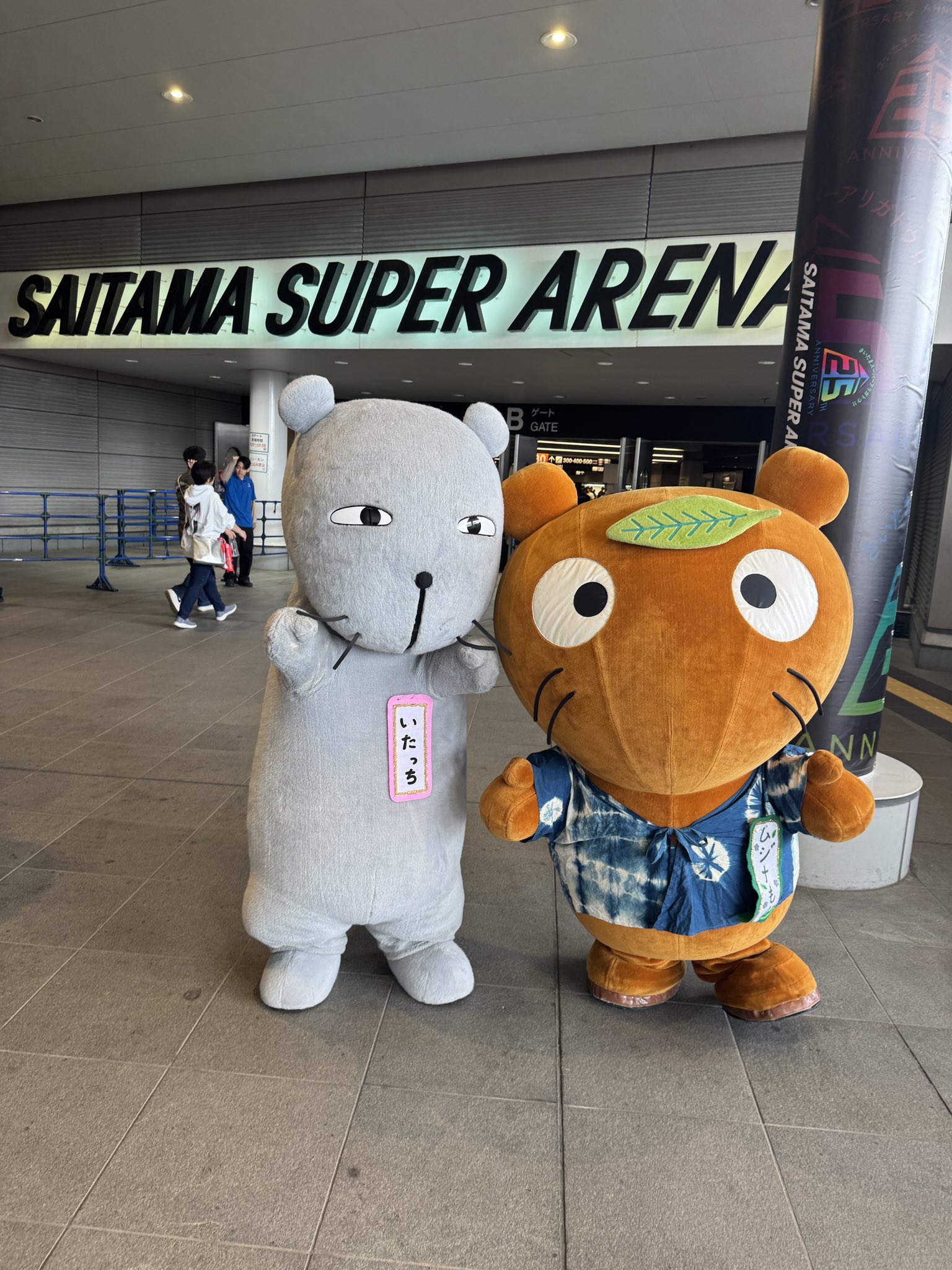 【2024福袋】 ムジナもん♪ X / (@mujinamon_hanyu) ブシロードその他