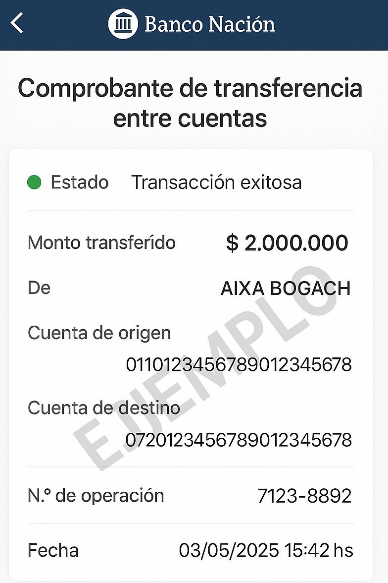 Fefe Bochorno tweet media