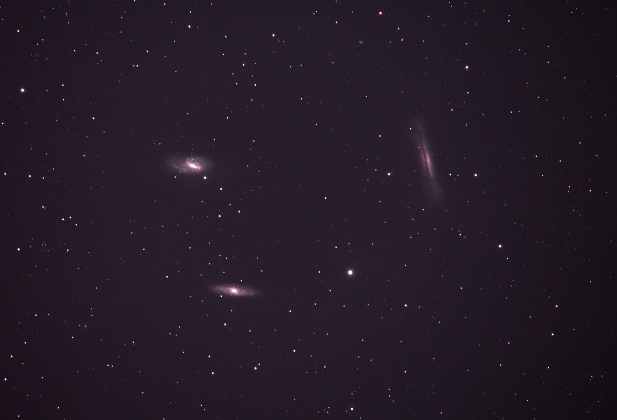 SpacePicture's tweet image. #天体写真
しし座　トリオ銀河（M65  M66  NGC4565）
868mm　トリミング
EOS6D改　ISO6400 露出16分×8枚＝108分
Darkなし