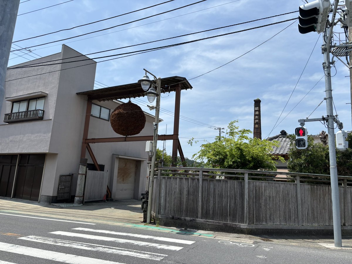 NovanovaDokkan's tweet image. 新宿アルタ前〜木戸泉酒造を歩きました‼️
23時間33分で102kmでした‼️
煙突見えたときめっちゃ興奮したー!!
#100km後に酒蔵に着くVtuber 2025