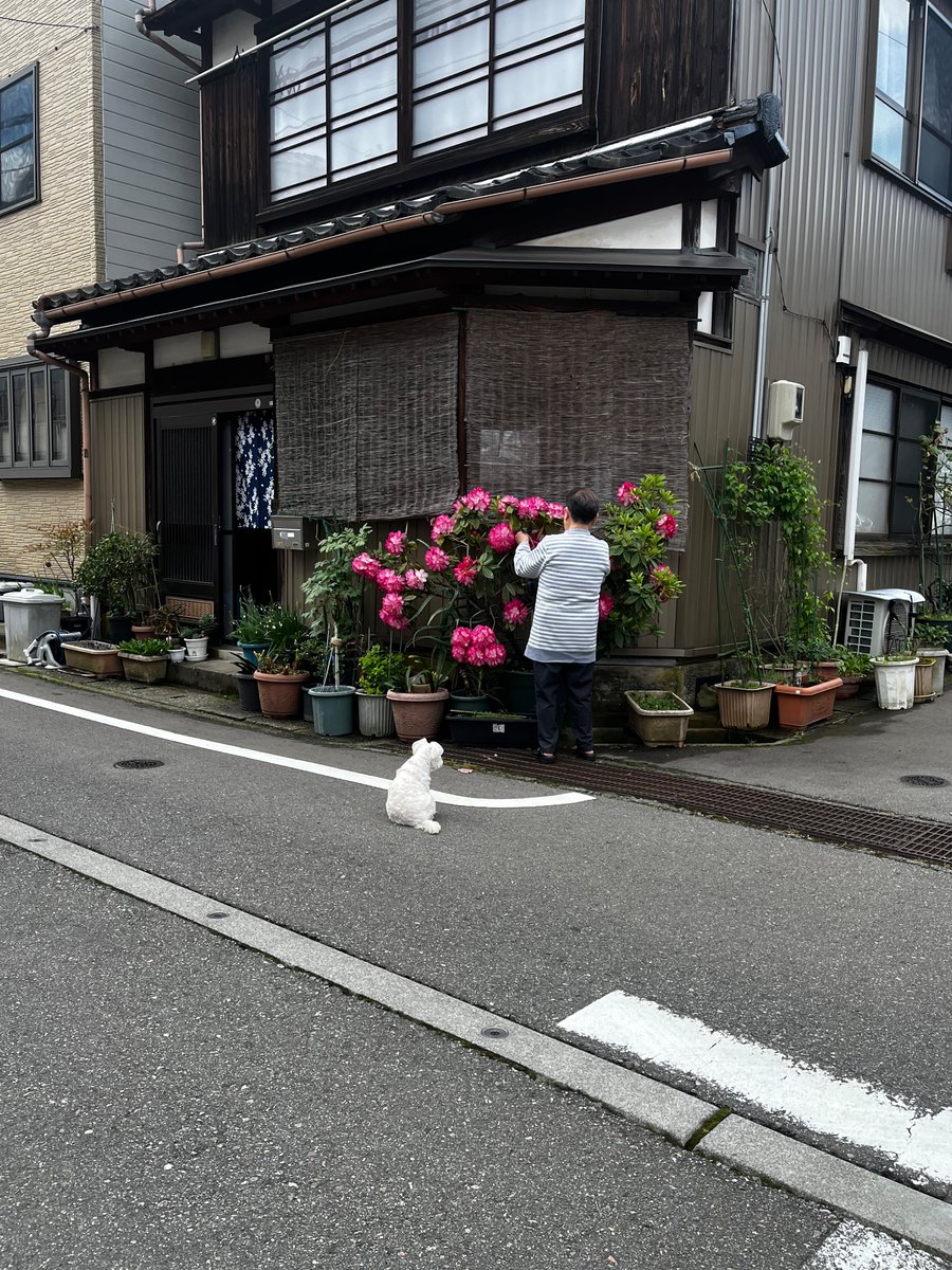 ay (@24sai_dayo) on Twitter photo 