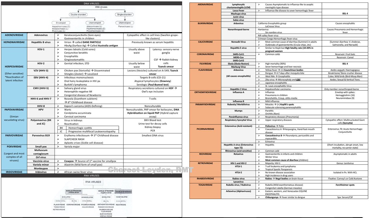 CharcotLeyden's tweet image. 📌Virology Shortcut (DNA and RNA Viruses)   

* Please use with caution