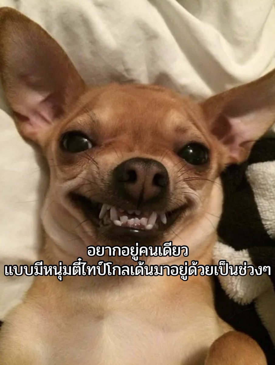 ใครสักคนกล่าวไว้ tweet media