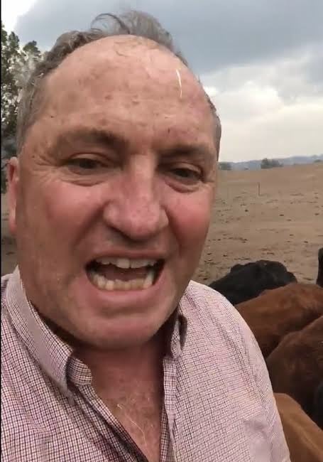 So far, the Liberal Party have secured 13 out of the 37 seats the Coalition has clearly won in the House of Representatives.

The Nats and LNP are doing relatively well.

Barnaby Joyce for Leader of the Opposition? 🤔 🤔 #auspol