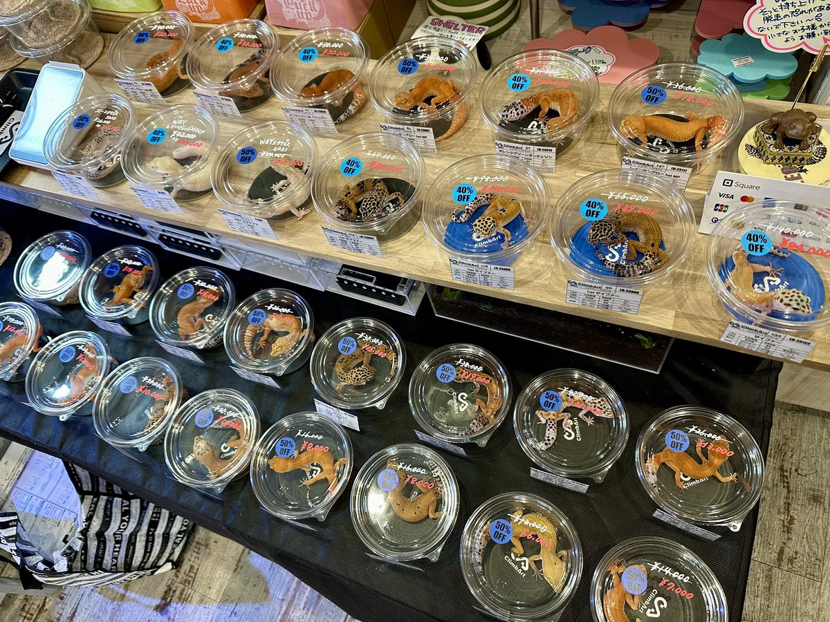 まもなくレオパーティー🎉
はっじまるよー！！

GWお休みの人もそうじゃない人も、
みんな集まれ〜