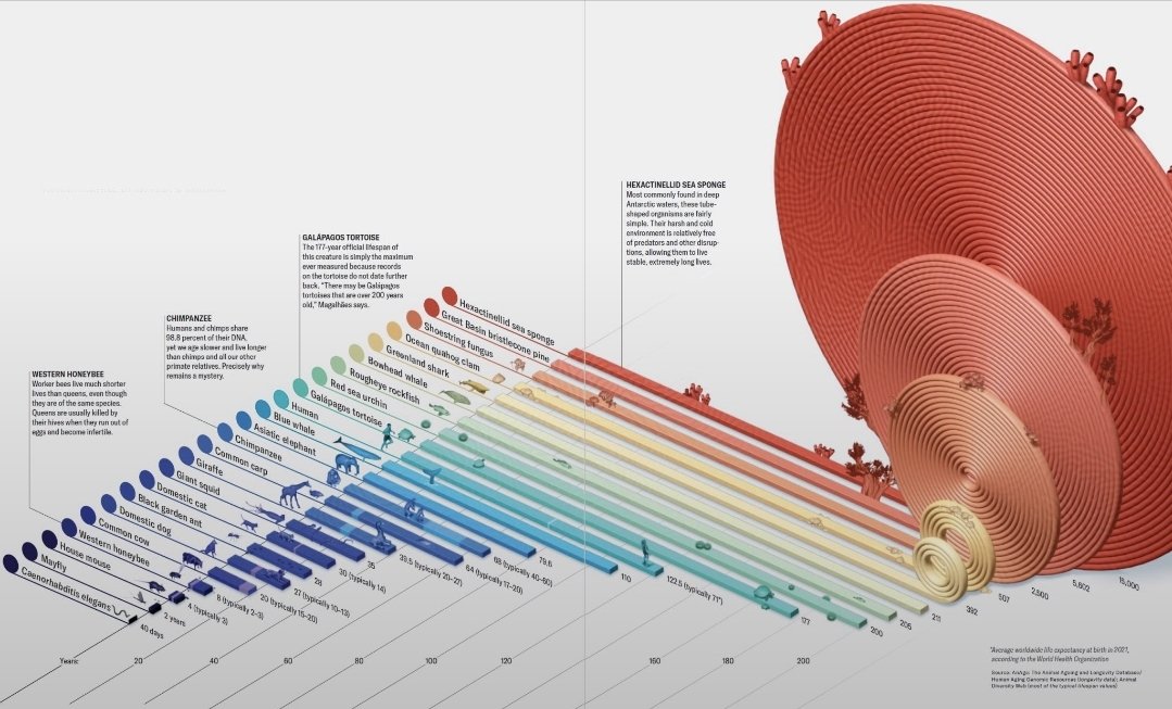 Life's longevity is connected to ecosystem resilience, balance &amp; harmony. Destruction of ecosystems will not only mean a short life but also an unhappy one...

Image &amp; first line of the post borrowed from Bapon Fakhruddin, PhD.
