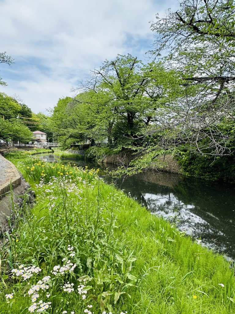 keizo1111's tweet photo. 【本庄散歩🚶‍♀️ 第二部続き】
若泉公園にて
桜の季節はさぞかしゴージャスなことでしょう。深緑の今も穏やかでゆったりした時間が流れていて素敵な公園でした。 https://t.co/yXM5plUcav