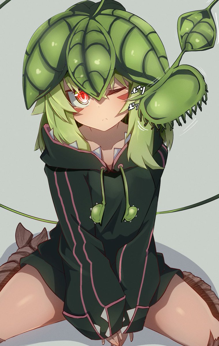 #みどりの日なので緑色の画像を貼る
ディオネさんの日か… 