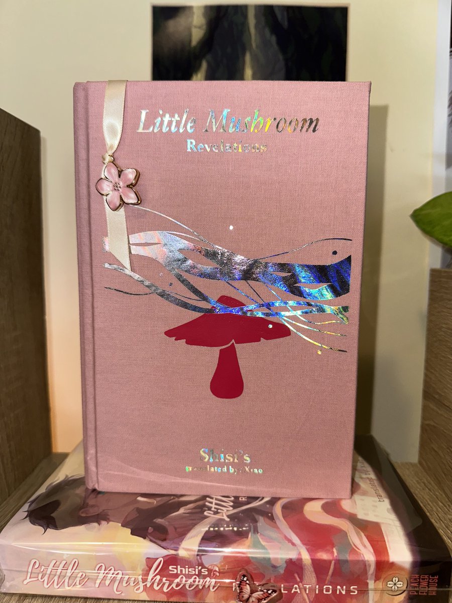 I’m not sure who else has read Little Mushroom, but I’ve rebound the second novel and I love how it came out 🥹 it’s up on my Etsy shop. #littlemushroom