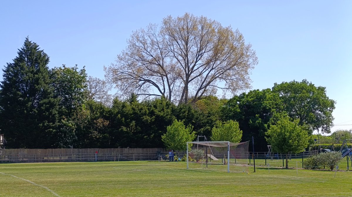The Wandering Tractor (@wanderintractor) on Twitter photo First #blog match report from the weekend, the <a href="/ThamesValleyPL/">Thames Valley PL</a> Premier clash between <a href="/ymca_fc/">Reading YMCA FC</a> and <a href="/WestwoodMens/">Westwood Wanderers Mens</a>.
Just click the link below ๐
wanderingtractor.uk/all-good-thingโฆ
An entertaining match and a fun day out (apart from the trains!)
#NonLeague #grassroots #grassrootsfootball First #blog match report from the weekend, the <a href="/ThamesValleyPL/">Thames Valley PL</a> Premier clash between <a href="/ymca_fc/">Reading YMCA FC</a> and <a href="/WestwoodMens/">Westwood Wanderers Mens</a>.
Just click the link below ๐
wanderingtractor.uk/all-good-thingโฆ
An entertaining match and a fun day out (apart from the trains!)
#NonLeague #grassroots #grassrootsfootball