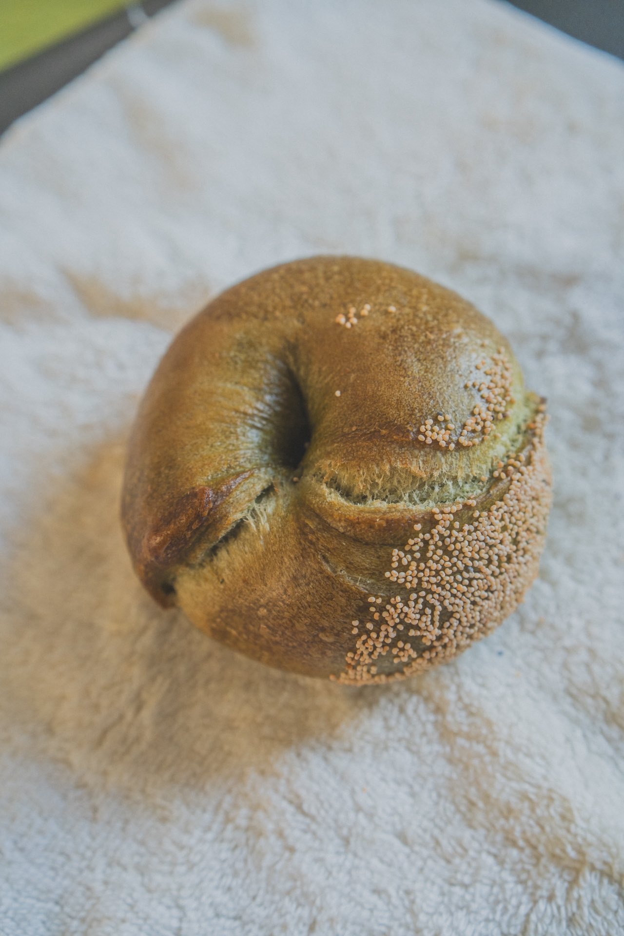 🤎🤎🤎🤎🤎🤎🤎🤎🤎🤎 #cinnamonraisin #cinnamonraisinbagel