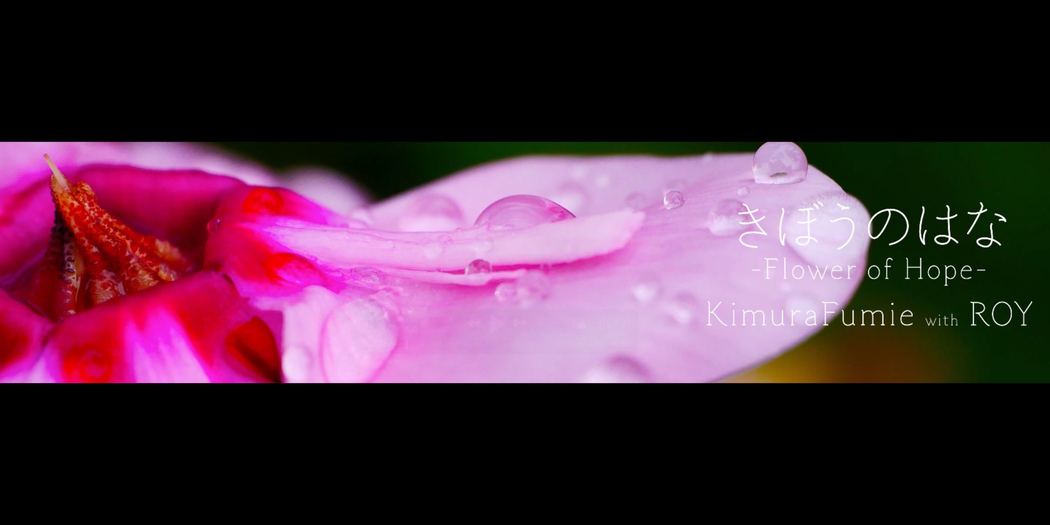 fumi fumiさん専用 Youtube☆ FumiFumi - YouTube