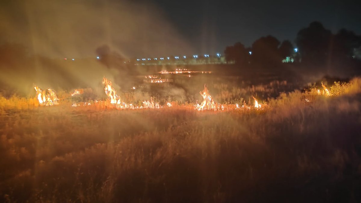 इंदौर कृषि महाविद्यालय के अनुसंधान फार्म में पराली जलाने का मामला सामने आया है। 

जहां एक ओर मध्य प्रदेश सरकार किसानों द्वारा पराली जलाने पर FIR और आर्थिक दंड लगा रही है—वहीं दूसरी ओर कृषि महाविद्यालय द्वारा अपने ही अनुसंधान फार्म पर खुलेआम पराली जलाई गई।

अभी तक जिले में पराली