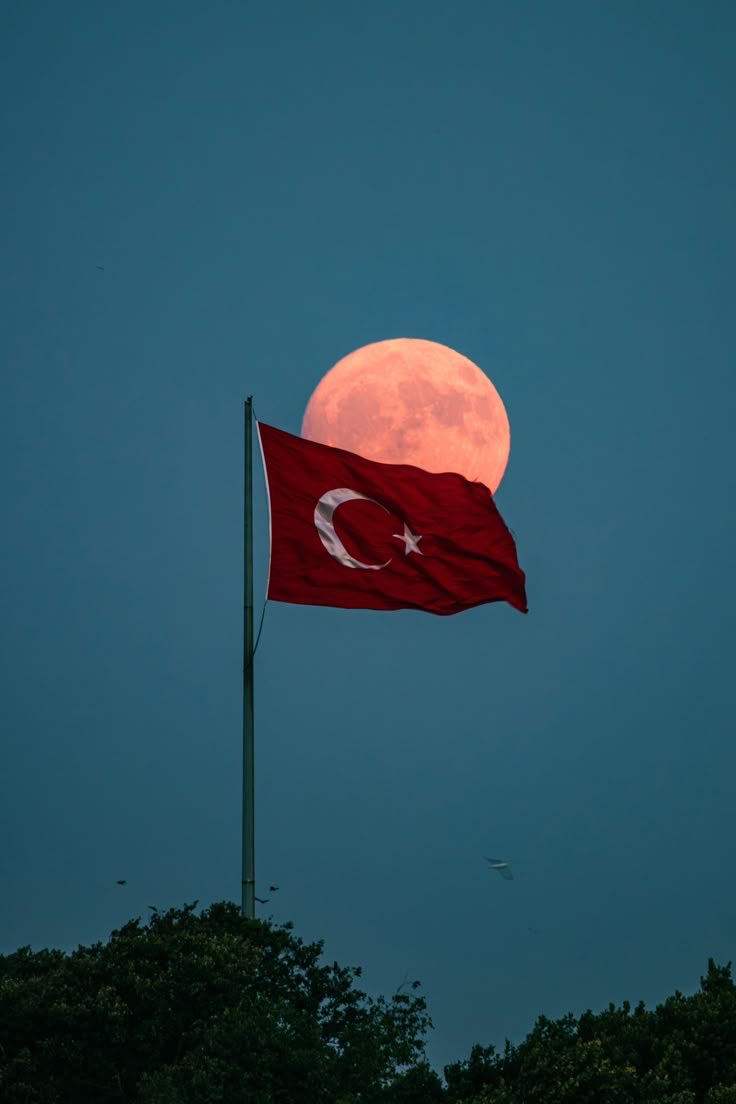 Madde 7 – Türk Bayrağı, layık olduğu manevi değeri zedeleyecek herhangi bir şekilde kullanılamaz.