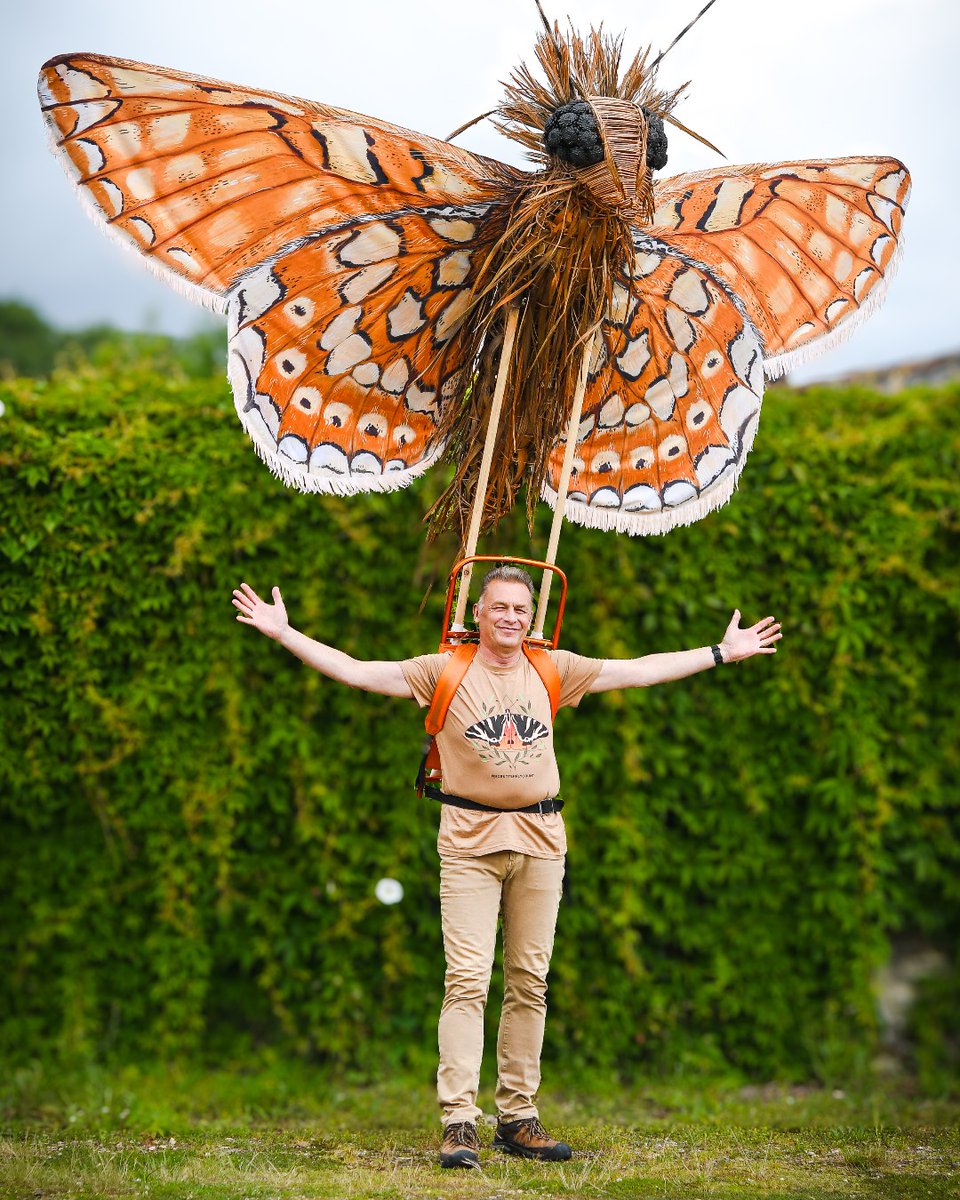 Butterfly Conservation 🦋 tweet media