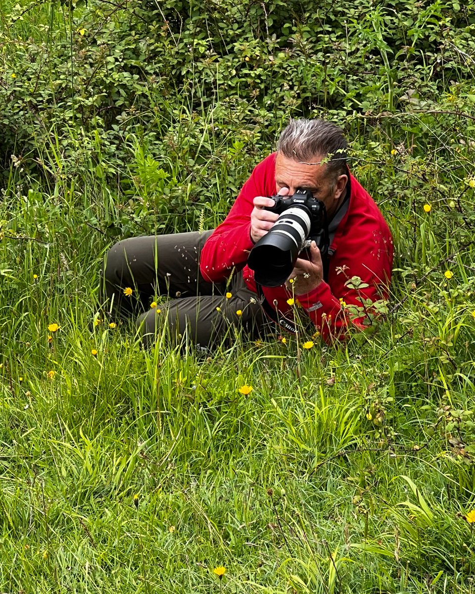 Butterfly Conservation 🦋 (@savebutterflies) on Twitter photo Wishing a very happy birthday to Butterfly Conservation Vice President <a href="/ChrisGPackham/">Chris Packham</a>! 🎂
Thank you for being such a passionate advocate for butterflies and moths, and for tirelessly standing up for nature. 🦋 Wishing a very happy birthday to Butterfly Conservation Vice President <a href="/ChrisGPackham/">Chris Packham</a>! 🎂
Thank you for being such a passionate advocate for butterflies and moths, and for tirelessly standing up for nature. 🦋