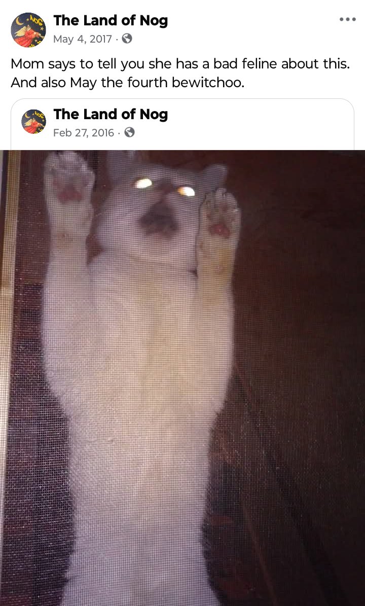 Sunday funday for 5-4-25

Good meownin! Nine years ago on May the Fourth (be with you), Nog briefly went over to the Dark Side.
-- Love from us, AngelNog &amp; Mom
... 
#MemoriesofNog
*born circa 2008
*gotchaday 1-15-11
*🌈 6-24-22

More meowmories on FB:
Nog Warner 
The Land of Nog