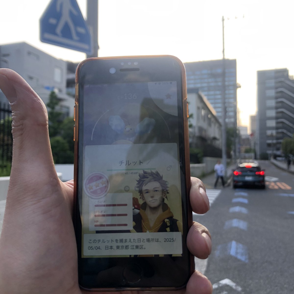 チルットXXL色違い100✨✨✨❤️❤️‼️

#ポケモンGO #PokemonGO #チルット