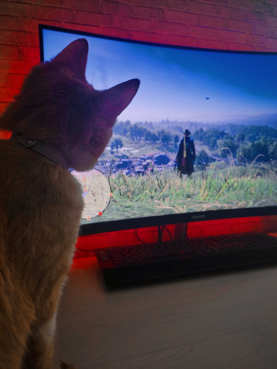 graborovgames's tweet photo. Red Dead Online🤠PS5
😺
#RedDeadRedemption #rdr2 #rdo #reddeadonline #saverdo #GTA #gta5 #gta6 #GTAVI #RockstarGames #vp #VirtualPhotography #WorldofVP #LaCasaDeLosFamososCol #JHOPE #GTA6LEAKS #gamer #red #movie #funny #hot #amici24 https://t.co/bAqV70oSGd