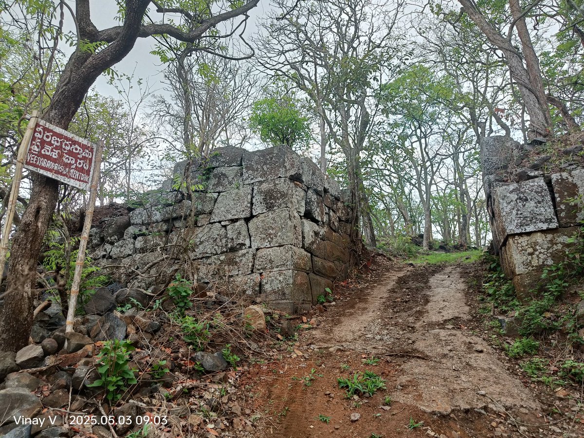 Vinay Vangala #SaveHCUBioDiversity (@vinay_vangala) on Twitter photo Oh you <a href="/PuligundalaEco/">Puligundala Ecotourism</a> beauty 😍
Hyderabadis, want to ditch the usual weekend plans?
Discover Kanakagiri Hills—a hidden gem where trails whisper and the wild welcomes.
#Kanakagiri
#AdventureCalling
#TelanganaZarurAana
#IncredibleIndia
<a href="/revanth_anumula/">Revanth Reddy</a>
<a href="/TeamKonda/">Konda Murali</a>
<a href="/HiHyderabad/">Hi Hyderabad</a> Oh you <a href="/PuligundalaEco/">Puligundala Ecotourism</a> beauty 😍
Hyderabadis, want to ditch the usual weekend plans?
Discover Kanakagiri Hills—a hidden gem where trails whisper and the wild welcomes.
#Kanakagiri
#AdventureCalling
#TelanganaZarurAana
#IncredibleIndia
<a href="/revanth_anumula/">Revanth Reddy</a>
<a href="/TeamKonda/">Konda Murali</a>
<a href="/HiHyderabad/">Hi Hyderabad</a>