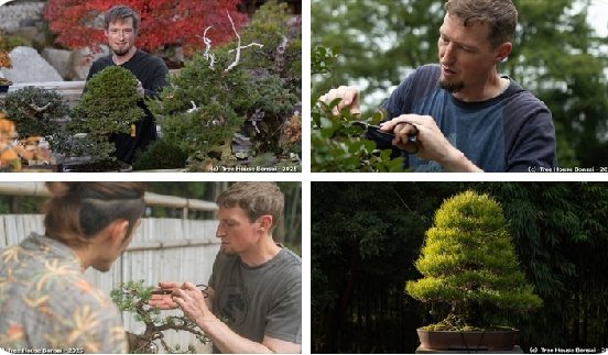 Branch into bonsai with American Adam Jones. College hobby turned professional pursuit after a 5-year apprenticeship, and his Tree House Bonsai facility, opened in 2018, runs workshops &amp; bonsai study-stays for visitors of all levels.

#LandOfDiversity