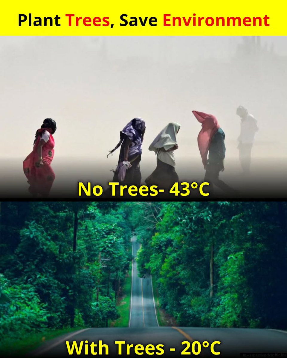 Protecting Nature means protecting our future — it's key to climate stability!

#sustainme #sustainmetree #plantatree #treeplantation #ClimateCrisis #climatechange #gogreen #SustainableDevelopment #Sustainability #SustainableFuture #saveournature #plants #nature