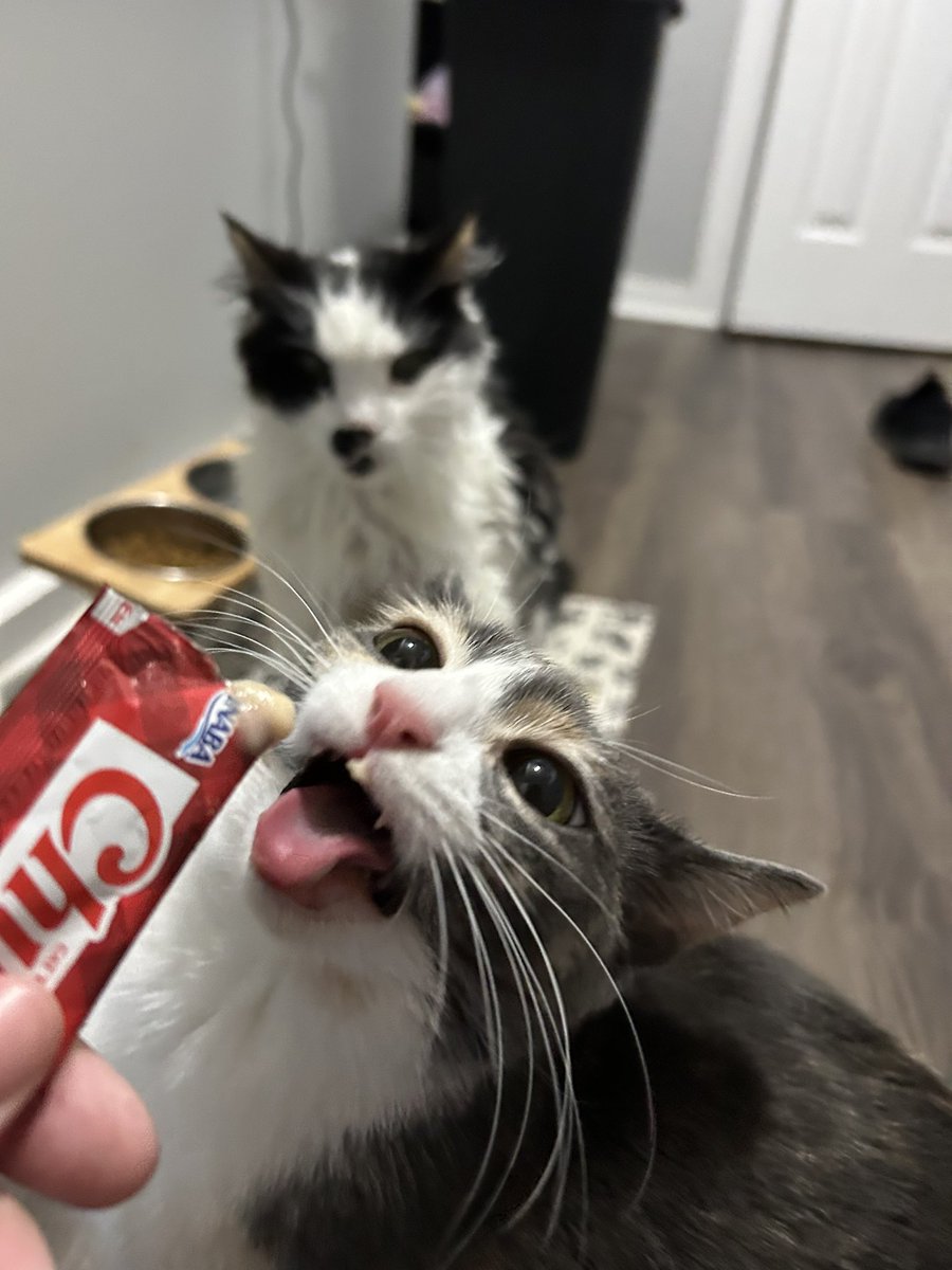 <a href="/GxbFlppS3/">#JOBLIFE</a> Exceptionally silly one from tonight