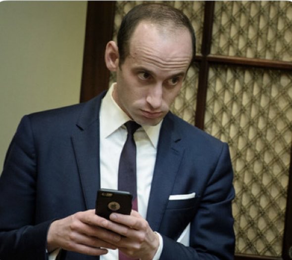 Suzie rizzio tweet media