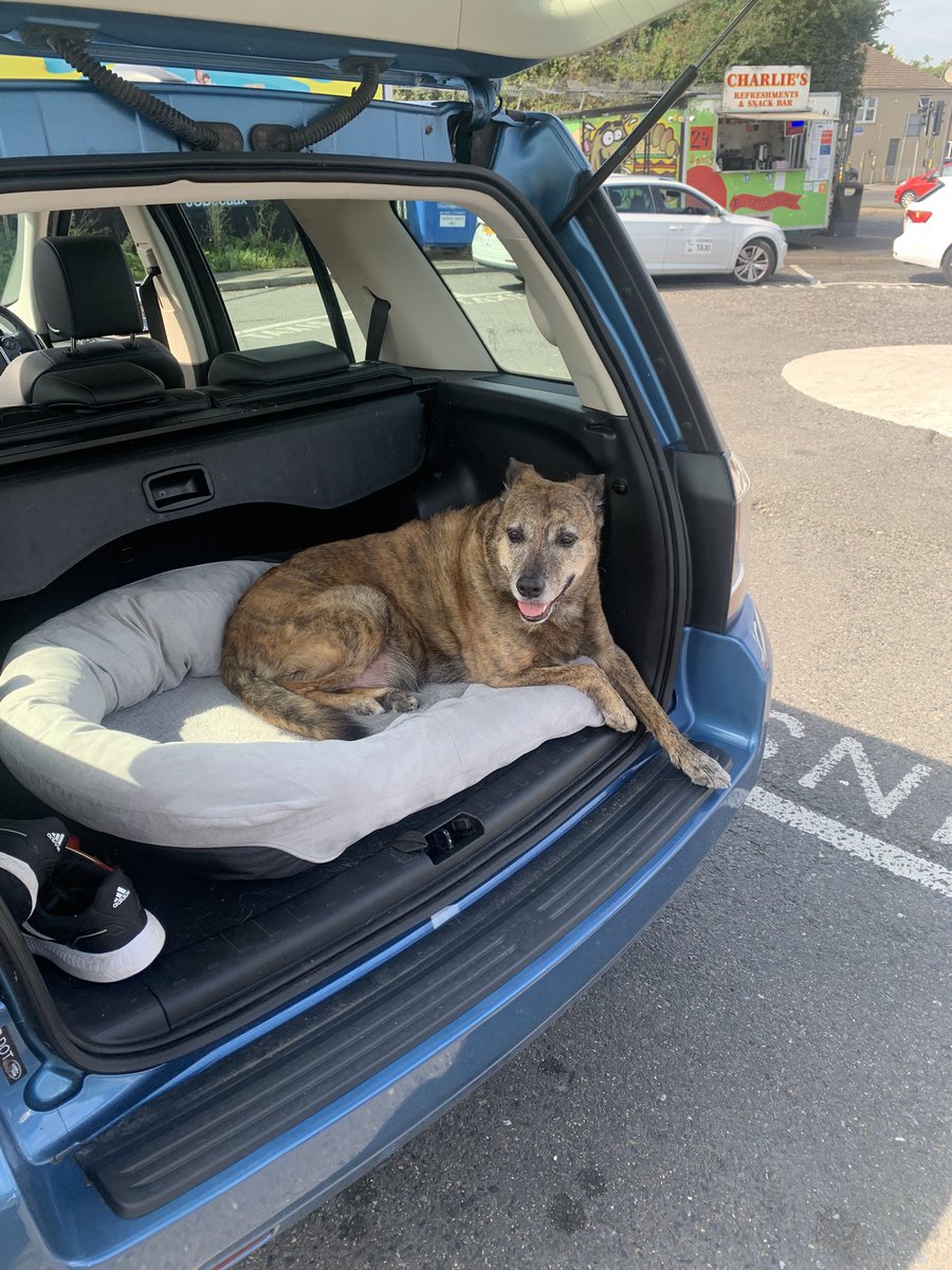 Seychelles_dog's tweet photo. @_XDogs I did just recently - walking out without him was horrendous 😢 https://t.co/jNpJCDZk5n