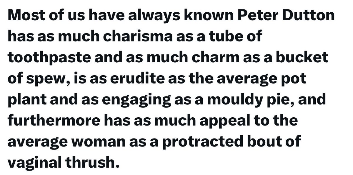 Brilliantly put. Take a bow <a href="/MFWitches/">MFWitches</a> 👌 #auspol #ausvotes 👇