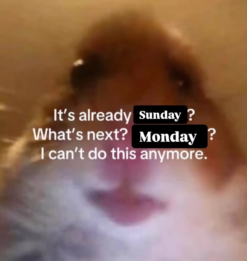 hamzeh (@kasasbeh0) on Twitter photo 