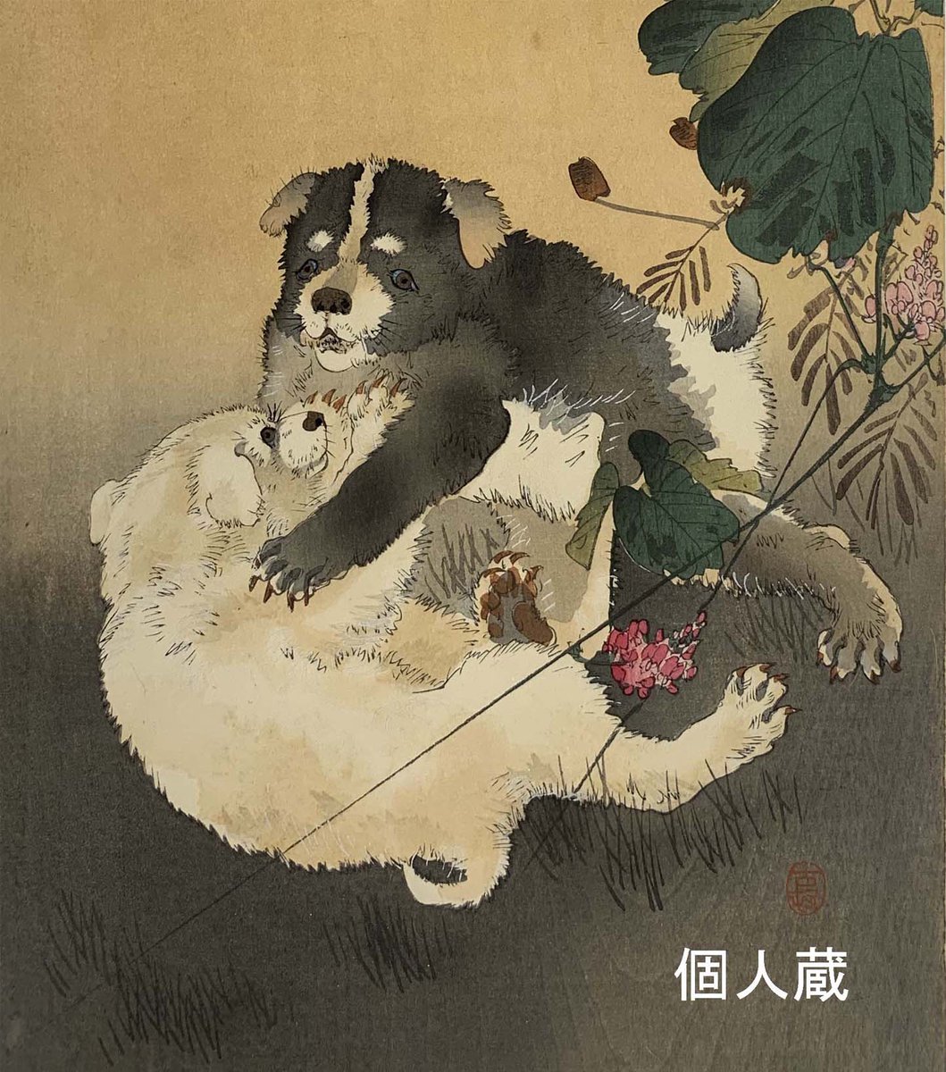 小原古邨(おはら・こそん)の「戯れる子犬」。2匹の子犬たちが原っぱで