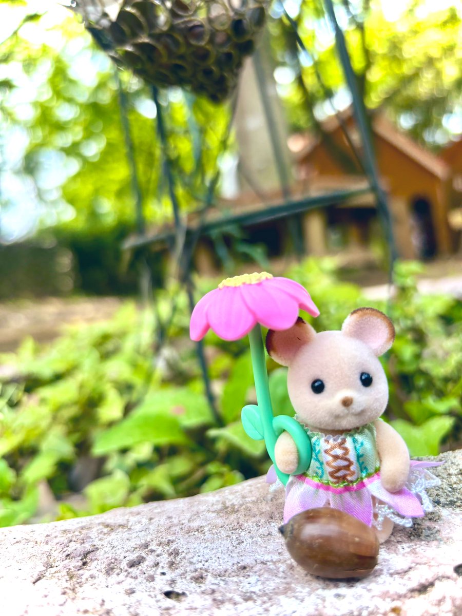 aomomo_leaf's tweet photo. 🌳どんぐりネズミとどんぐり拾い🌳

茨城県の大人気テーマパーク #イバライド  でどんぐり拾い！
シルバニアパークも入場まで大行列！ https://t.co/WSYZLpDNnh
