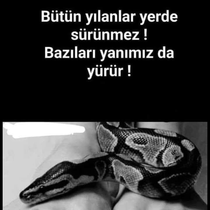 Ekrem Şahin (@sekrem887) on Twitter photo 