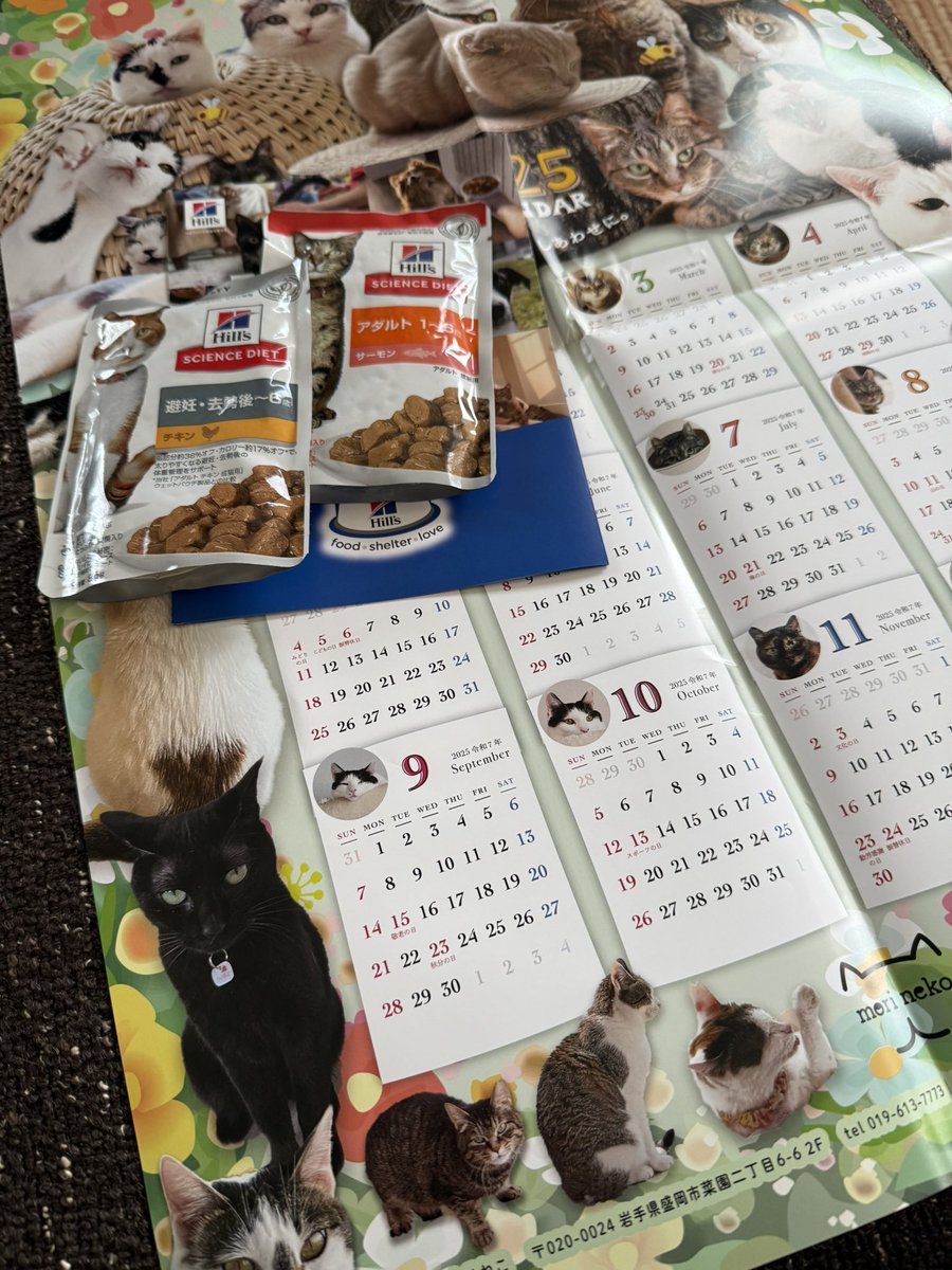 にゃんぶまつり
うちには黒いのとシマシマが
いるので
寄付だけしてきた