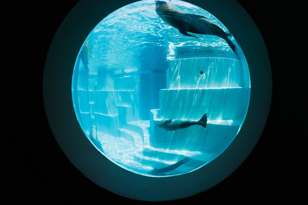 マリンワールド海の中道