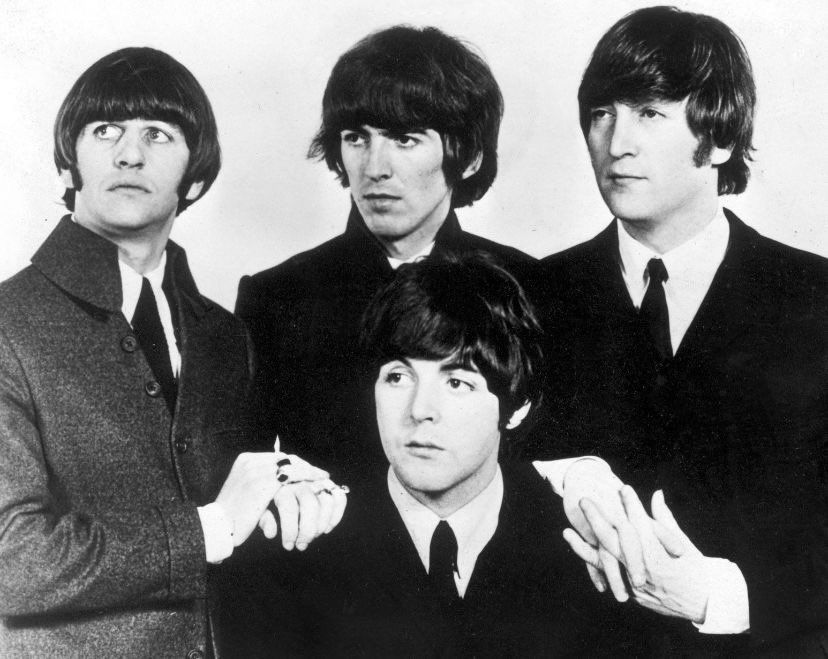 🍏 ALFIE tweet media