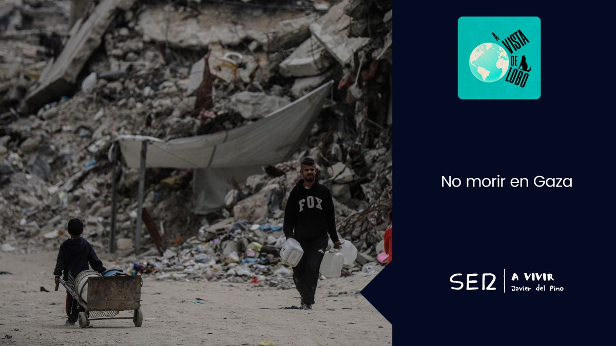 En Gaza, las personas dentro de la Franja hacen como pueden para seguir con vida ante la guerra. Esta semana, además, se han cumplido dos meses del último bloqueo por parte de Israel de ayuda humanitaria, impidiendo el acceso a comida.