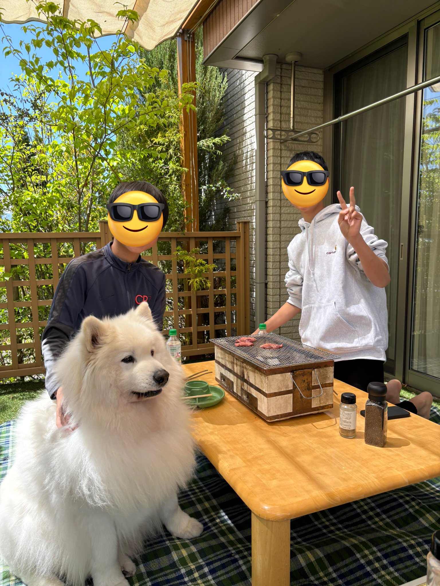 サモエドのサニー (@samoyedsunny) / X