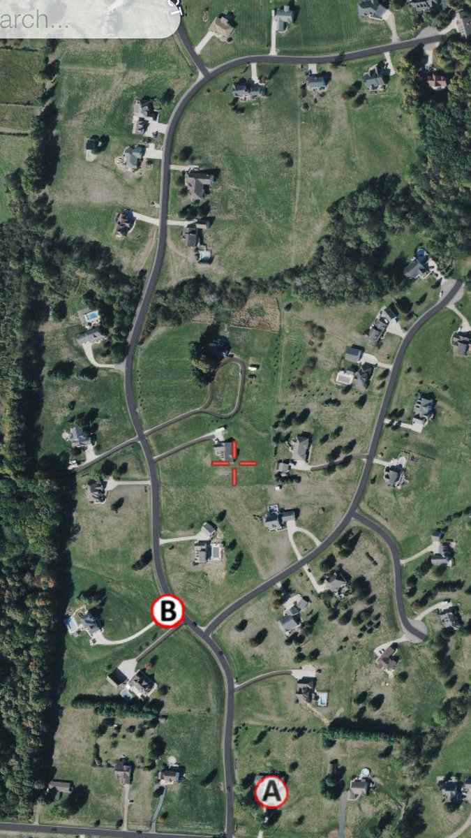 FranBevo🇺🇸 tweet media