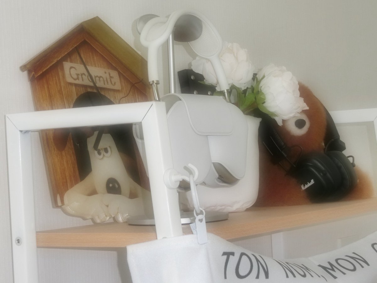 디카 소프트 포커스 기능에 빠져버린 근황⛅️📸