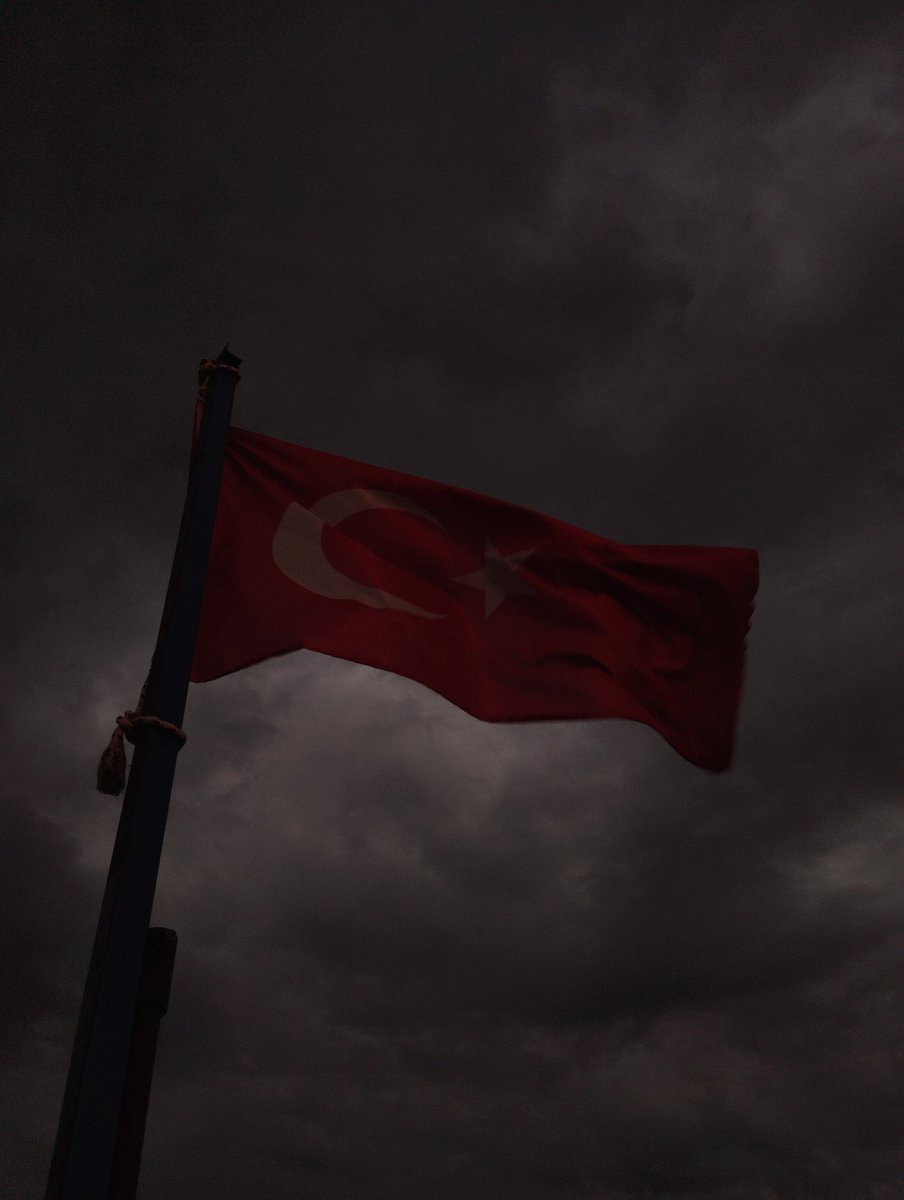 herhangi biri tweet media