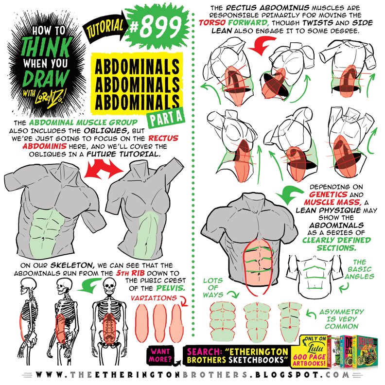 EtheringtonBros's tweet image. ABDOMINALS part ONE! #anime #manga #comicart #conceptart #gamedev #animationdev #illustration