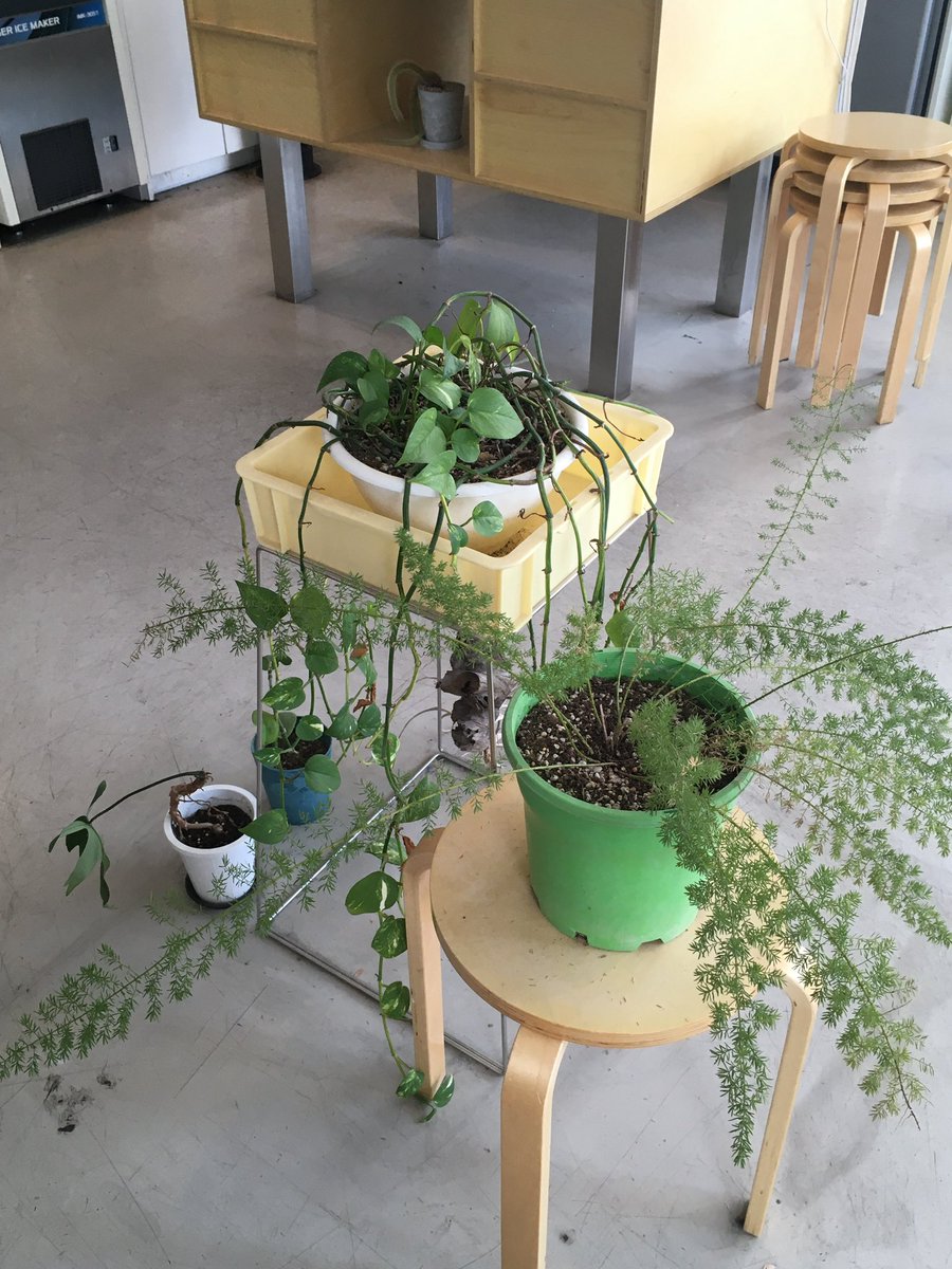 fromxummer's tweet image. 카푸치노 또 먹구 싶다☕️