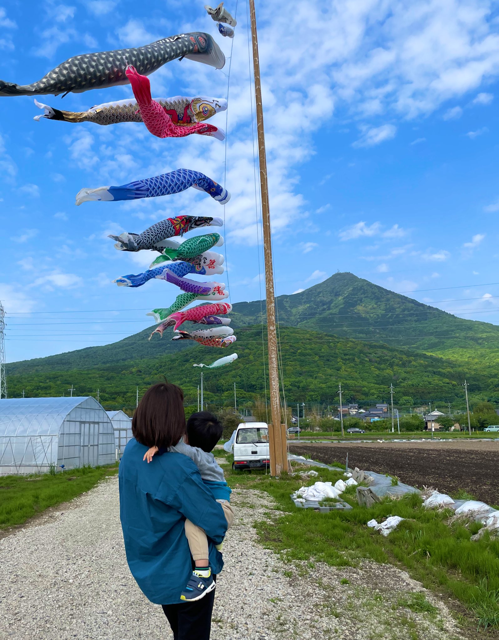 天空4m鯉のぼり6点セットが安い ～広島市の人形問屋十二段屋