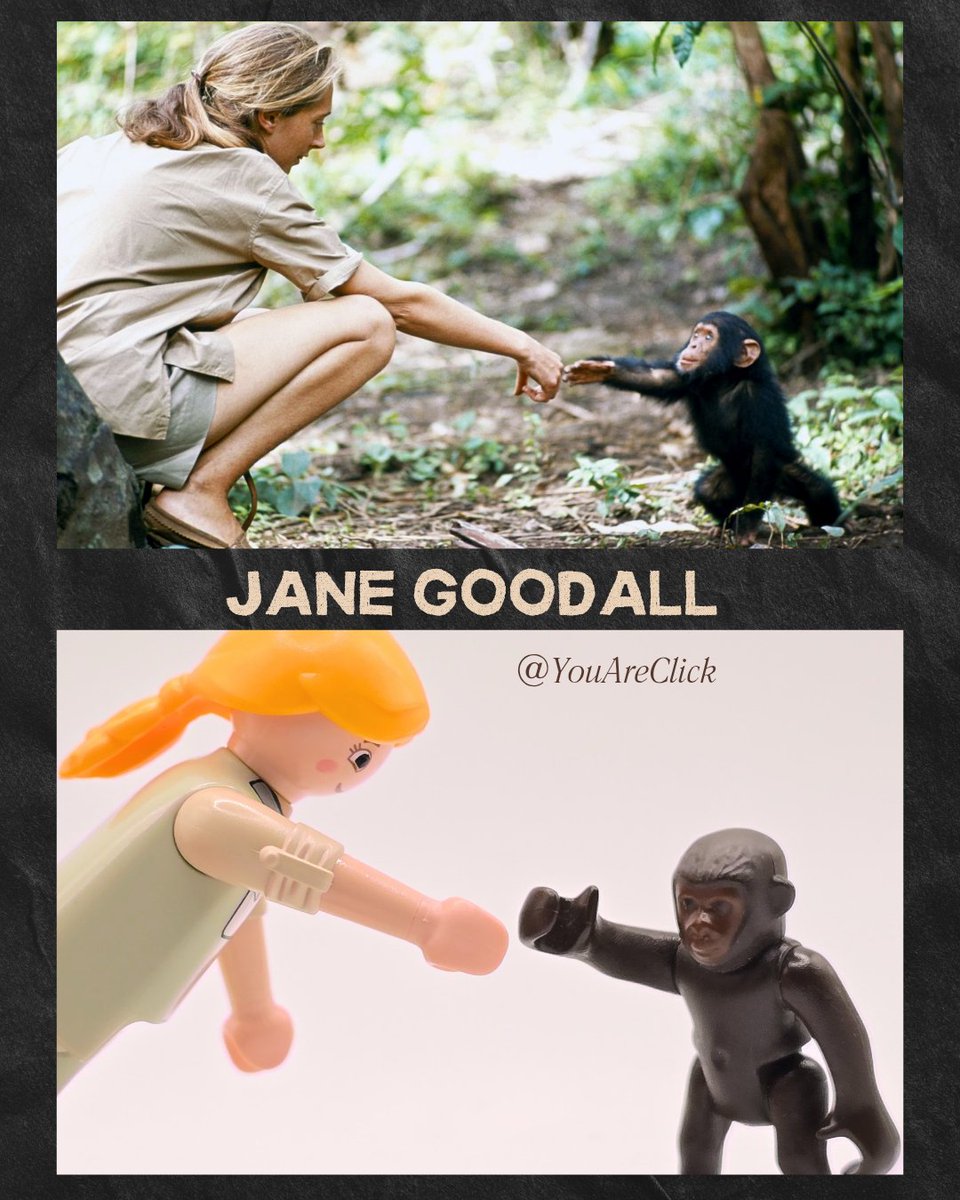 YouAreClick's tweet photo. Los seres de Luz existen 🌟🐒
Thank you for everything 🤍🙏🏻 @JaneGoodallInst 
#janegoodall #YouAreClick https://t.co/2UinOL7T5w