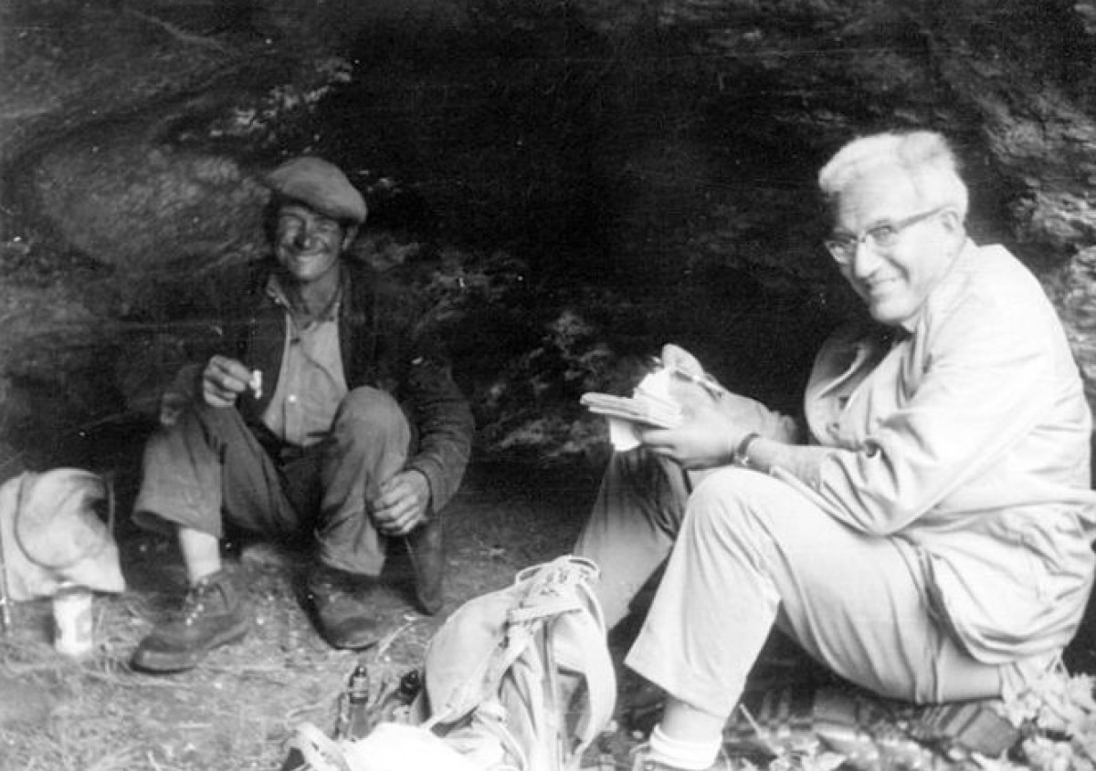 NaturaLlibres tweet media