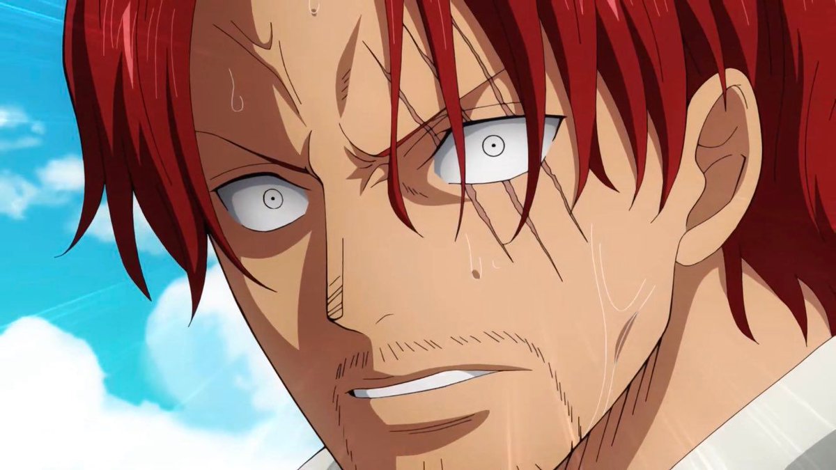 One Piece Daily tweet media