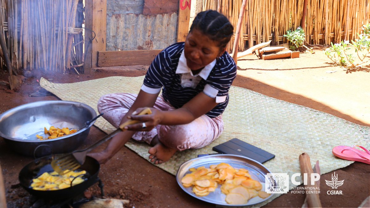 International Potato Center (@cipotato) on Twitter photo From sweetpotato 🍠 to sweet success!
In southern Madagascar, the Mahavonjy association is boosting incomes and fighting malnutrition with orange-fleshed sweetpotato chips—earning up to $120/month.
Supported by <a href="/Cipotato/">International Potato Center</a> & the Mionjo Project, this is food innovation 💡 in From sweetpotato 🍠 to sweet success!
In southern Madagascar, the Mahavonjy association is boosting incomes and fighting malnutrition with orange-fleshed sweetpotato chips—earning up to $120/month.
Supported by <a href="/Cipotato/">International Potato Center</a> & the Mionjo Project, this is food innovation 💡 in